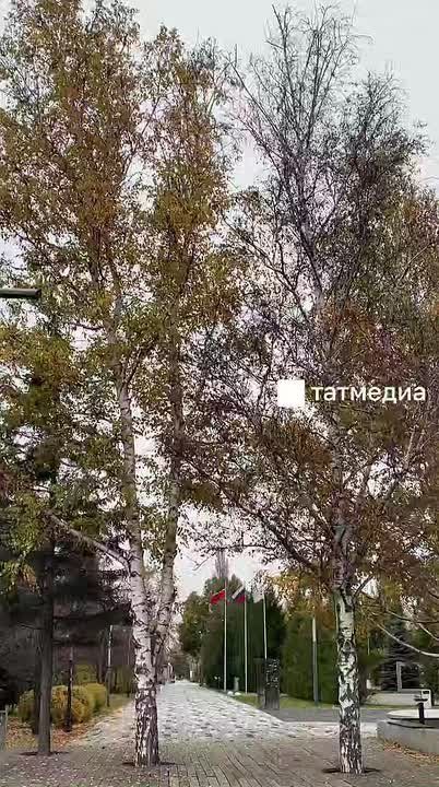 В Татарстане в выходные потеплеет до +10 градусов