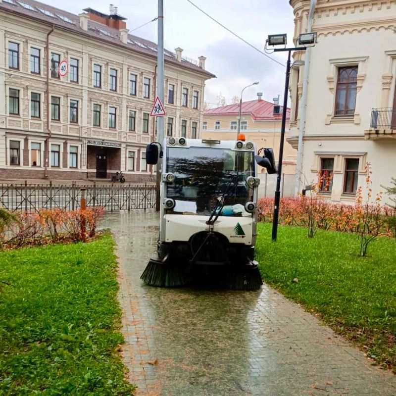 Их не остановит ни дождь, ни листопад