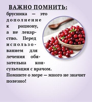 Брусника - природный помощник иммунитету Брусника - природный помощник иммунитету