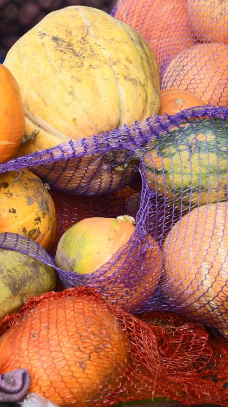 Вы только посмотрите!. Все это изобилие можно найти на сельхозярмарках, куда фермеры республики привозят свежие и качественные продукты