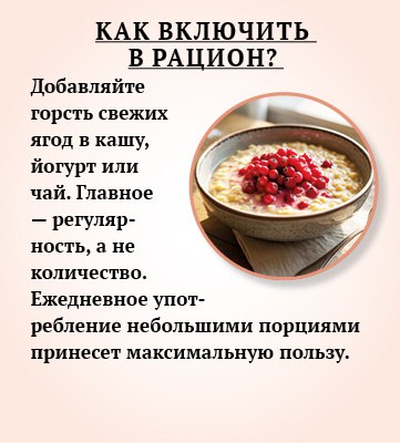 Брусника - природный помощник иммунитету Брусника - природный помощник иммунитету