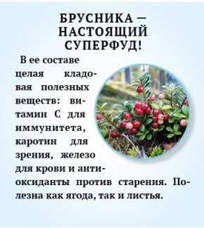 Брусника - природный помощник иммунитету