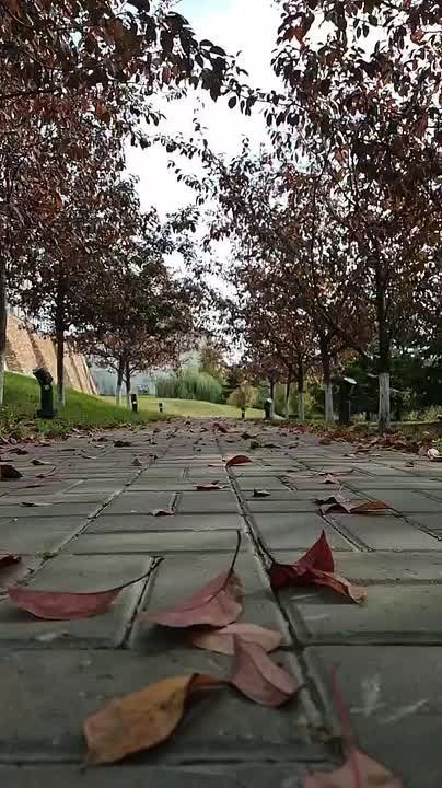 Доброе утро, Татарстан! Херле ирт, яраткан республикам!