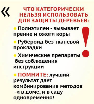 Как прогнать грызунов из дома и сада? Как прогнать грызунов из дома и сада?