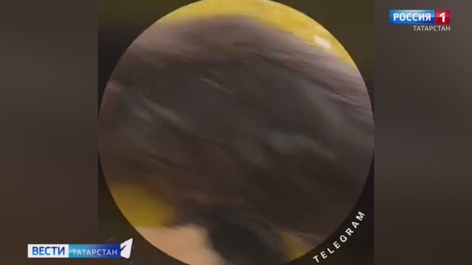 Студенты одного из казанских вузов борются с крысами и тараканами в общежитии