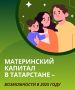 За время действия программы маткапитала татарстанцам перечислено более 157 млрд
