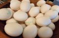 Сколько яиц в день можно съесть без вреда для здоровья: новые открытия диетологов разрушают многолетние мифы
