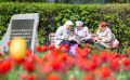 Туляки с длительным стажем: более 100 человек вышли на пенсию досрочно в 2025 году