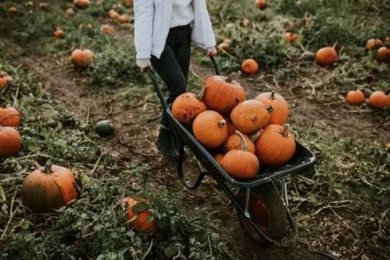 Казанцам расскажут, почему не стоит отмечать Хэллоуин