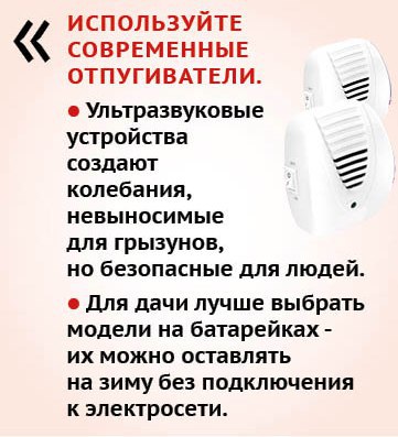 Как прогнать грызунов из дома и сада? Как прогнать грызунов из дома и сада?