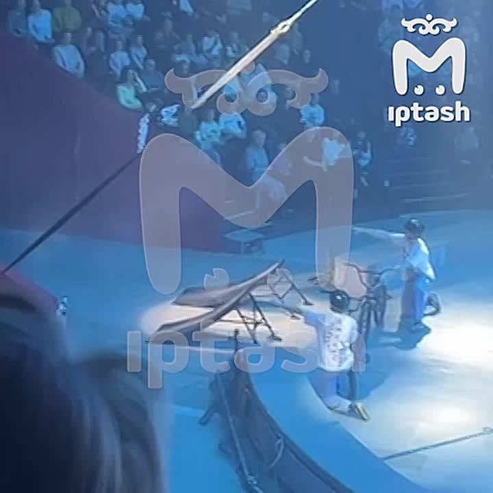 Циркач упал с рампы во время трюка и попал в больницу в Казани