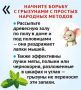 Как прогнать грызунов из дома и сада?