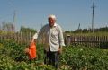 Пенсионеры на даче: как не потерять свой участок и избежать правовых проблем