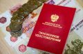 Накопительная пенсия в 2026 году: что ожидает пенсионеров?