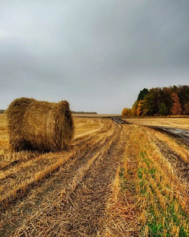 Доброе утро, Татарстан! Херле ирт, яраткан республикам!