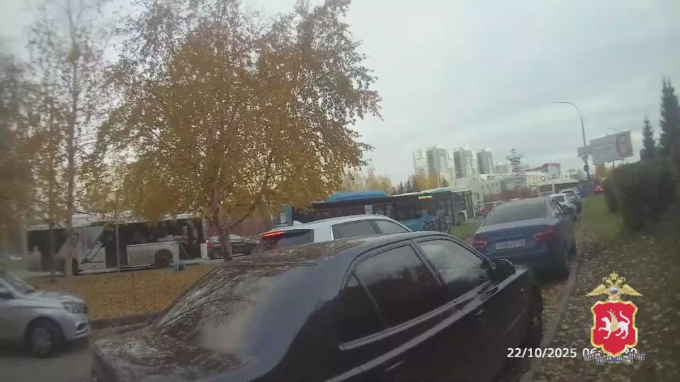 Полицейские Набережных Челнов пресекли попытку повредить передвижной комплекс видеофиксации