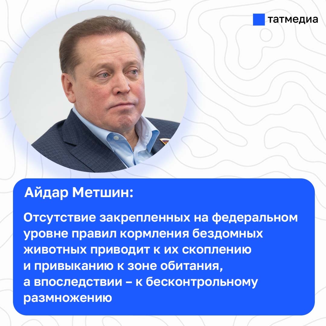 Айдар Метшин призвал регламентировать правила кормления бездомных животных