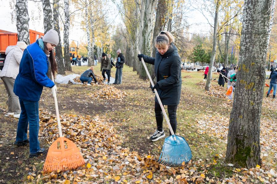 В Нижнекамске подведены предварительные итоги осенней кампании по санитарной очистке города В Нижнекамске подведены предварительные итоги осенней кампании по санитарной очистке города