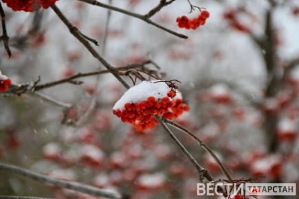 Стало известно, когда в Казани пойдет снег