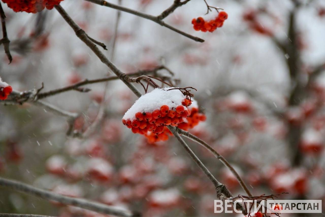 Стало известно, когда в Казани пойдет снег