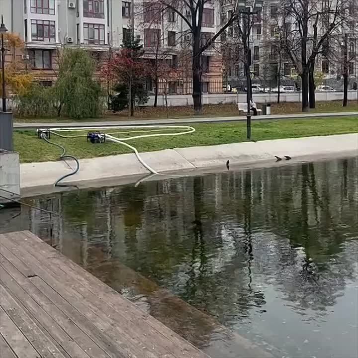 Приятна мне твоя прощальная краса! Люблю я пышное природы увяданье