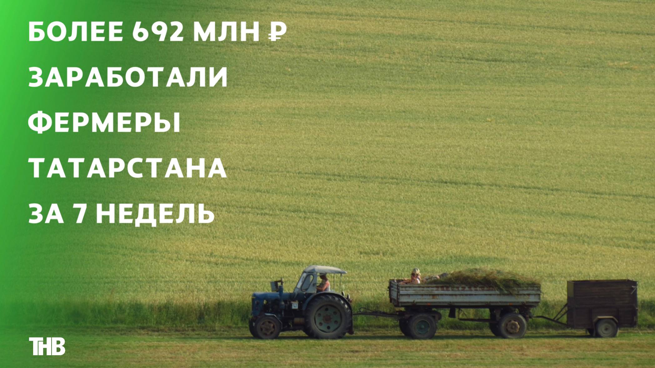 Более 692 млн рублей заработали фермеры Татарстана на ярмарках за семь недель