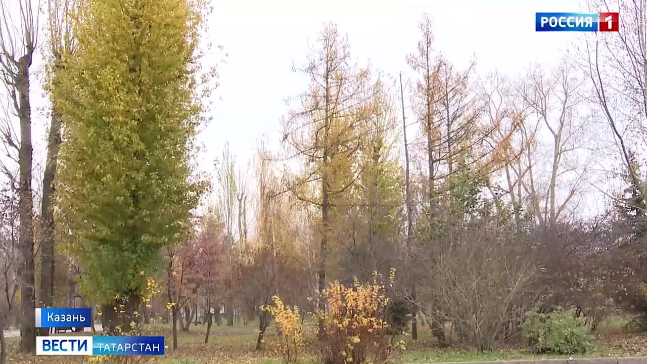 Татарстанцев предупредили о магнитной буре в ближайшие дни