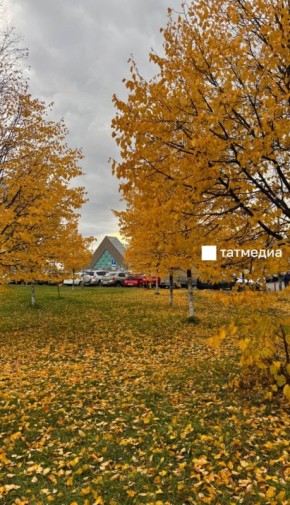 Гидрометцентр РТ сообщил об аномальном тепле до конца недели в Татарстане