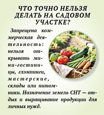 Можно ли продавать кабачки с огорода и сдавать свою дачу? Можно ли продавать кабачки с огорода и сдавать свою дачу?
