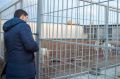 Увидел, как продвигается строительство нового приюта для бездомных собак