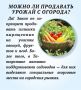 Можно ли продавать кабачки с огорода и сдавать свою дачу?
