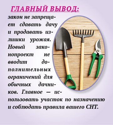 Можно ли продавать кабачки с огорода и сдавать свою дачу? Можно ли продавать кабачки с огорода и сдавать свою дачу?
