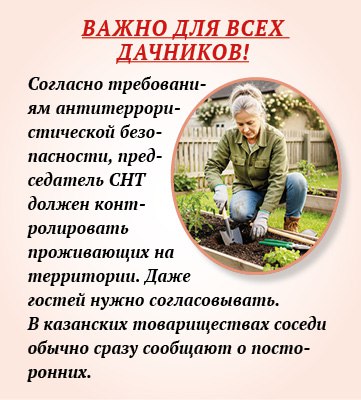 Можно ли продавать кабачки с огорода и сдавать свою дачу? Можно ли продавать кабачки с огорода и сдавать свою дачу?