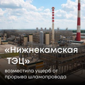 В результате прорыва шламопровода на территории ООО «Нижнекамская ТЭЦ» произошел разлив шламовой воды, что привело к загрязнению почвы