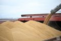 Агропромышленный комплекс Татарстана показывает уверенный рост