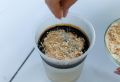 Сибирские ученые разработали уникальный экологический сорбент
