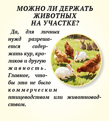 Можно ли продавать кабачки с огорода и сдавать свою дачу? Можно ли продавать кабачки с огорода и сдавать свою дачу?
