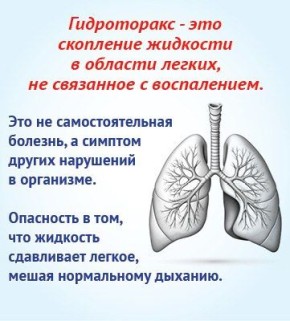 Жидкость в легких: в чем опасность для пожилых?