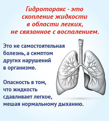 Жидкость в легких: в чем опасность для пожилых?