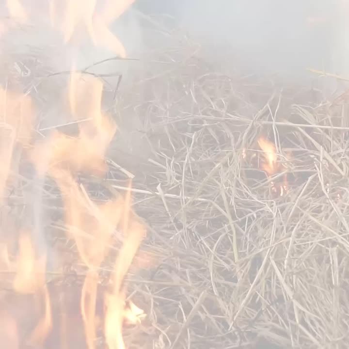 Неприязнь закончилась пламенем