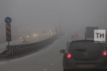 Внимание, туман!. Гидрометцентр Татарстана предупреждает: ночью и утром в четверг, 30 октября, в республике местами ожидается туман