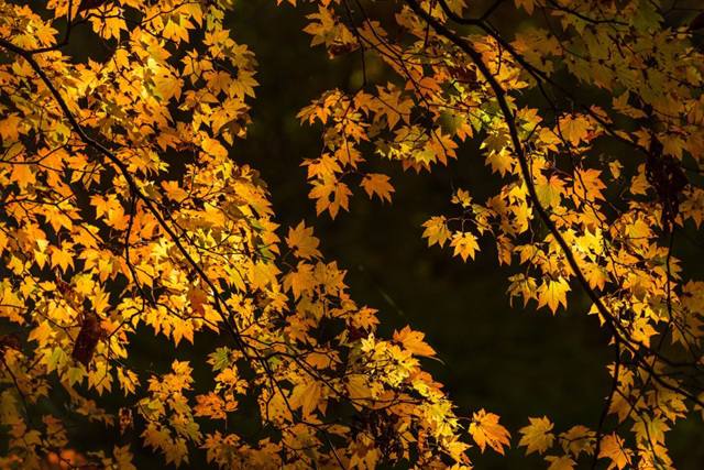 Тепло до +11 градусов и кратковременные дожди: погода 29 октября в Татарстане