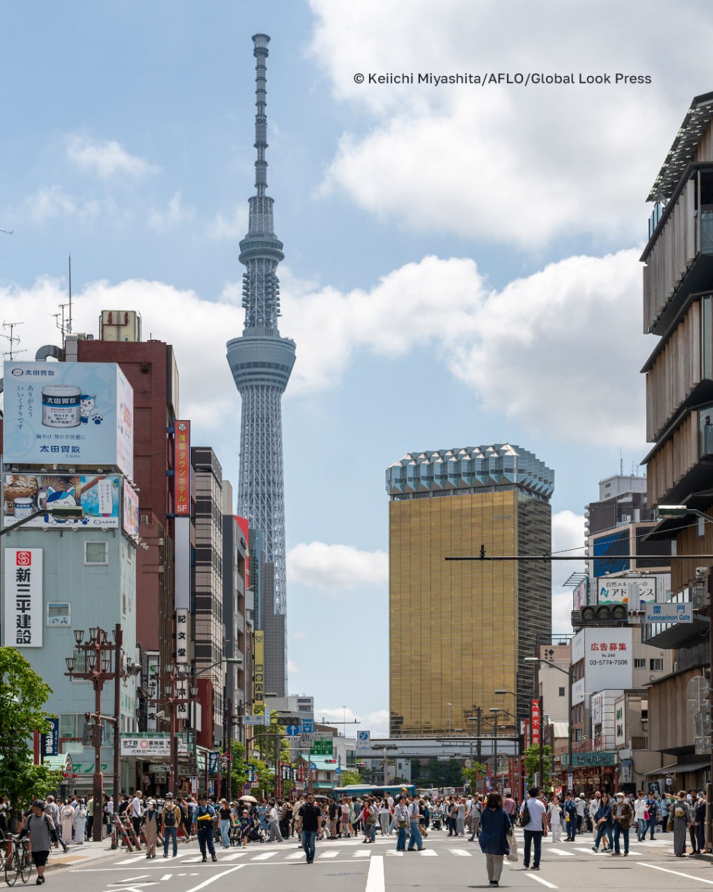 Возобновление прямого авиасообщения между Японией и Россией обсуждают авиакомпании
