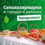 В предстоящие выходные сельхозярмарки пройдут в воскресенье, 2 ноября