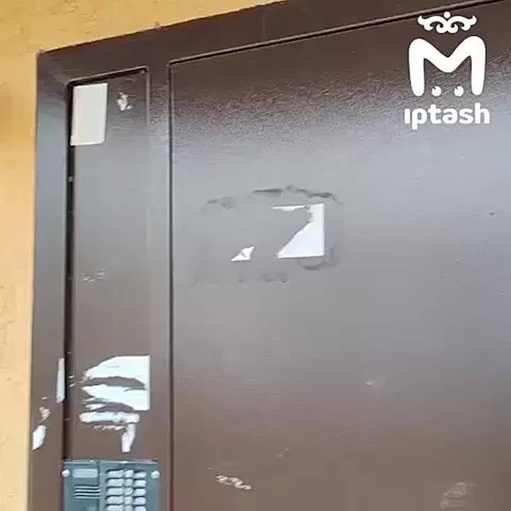 Мёртвые мыши лежат у входа в детскую поликлинику в Челнах