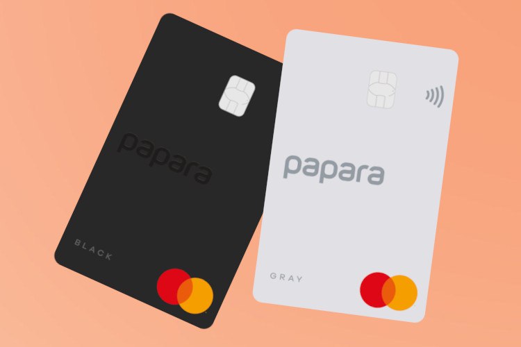 В Турции отозвали лицензию у популярной среди россиян платежной системы Papara