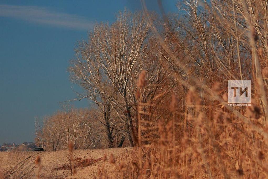 Внимание, татарстанцы! Завтра, 1 ноября, в рабочую субботу погода порадует нас осенним разнообразием