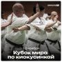 Мировой киокусинкай в Казани