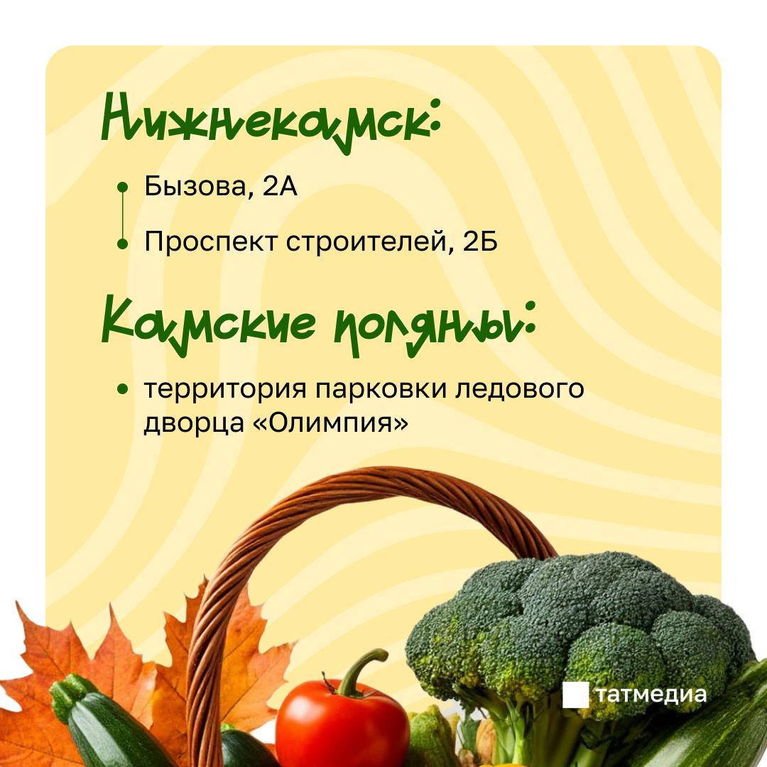 Сельскохозяйственные ярмарки в Татарстане пройдут 1 ноября, несмотря на рабочий день Сельскохозяйственные ярмарки в Татарстане пройдут 1 ноября, несмотря на рабочий день