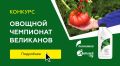 Овощной чемпионат великанов: ждем ваших рекордов!